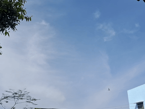 रायपुर में शुक्रवार सुबह से हल्के बादल छाए हुए हैं। हवा चल रही है।