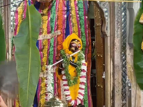 बाल स्वरूप श्री राधा दामोदर जी को पीत वस्त्र धारण कराए गए। भगवान श्री राधा दामोदर जी का दूध, दही, घी के साथ पंचगव्य और गंगाजल से जन्माभिषेक किया गया।