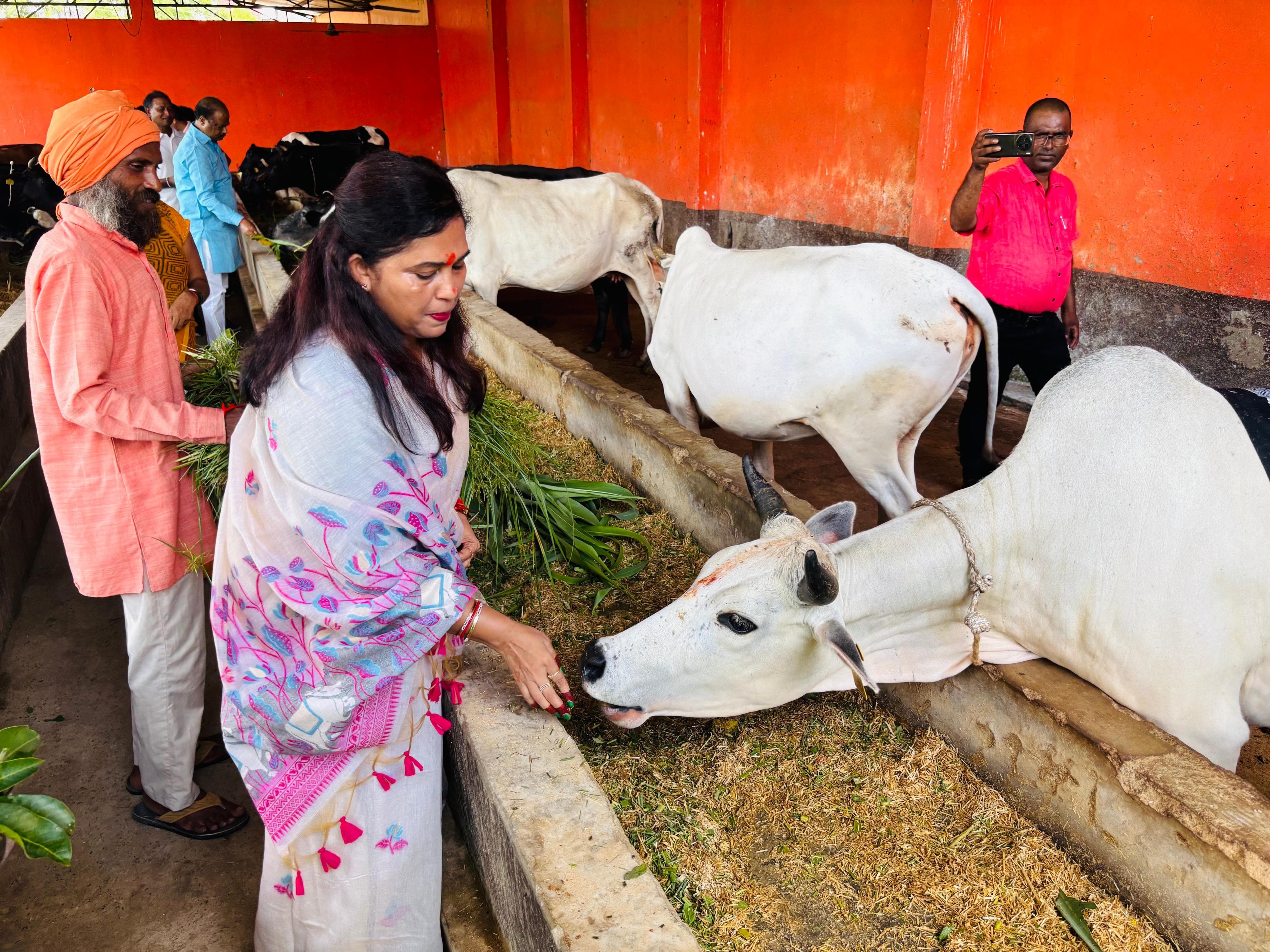 नगर पालिका अध्यक्ष ने गौ माता की पूजा-अर्चना। - Dainik Bhaskar