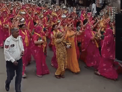 अलवर में यादव समाज की ओर से कृष्ण जन्माष्टमी पर निकाली गई शोभायात्रा में बड़ी संख्या में महिलाएं भजनों पर नाचते गाते शामिल हुईं।