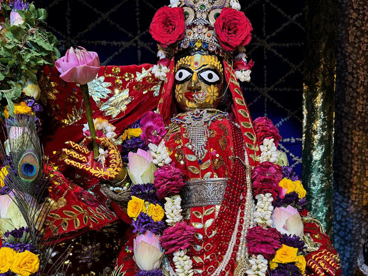 ठाकुर जी को विशेष पोशाक धारण कराई गई। इस अवसर पर भगवान को 4 लाख की घड़ी भी पहनाई गई, जिसे श्रद्धालुओं के लिए आकर्षण का केंद्र बनाया गया। उन्होंने बताया कि ठाकुर जी का फूल बंगला वृंदावन की तर्ज पर तैयार किया गया है। इसके लिए विशेष रूप से कोलकाता से फूल मंगाए गए, जिनसे मंदिर प्रांगण को सजाया गया है।