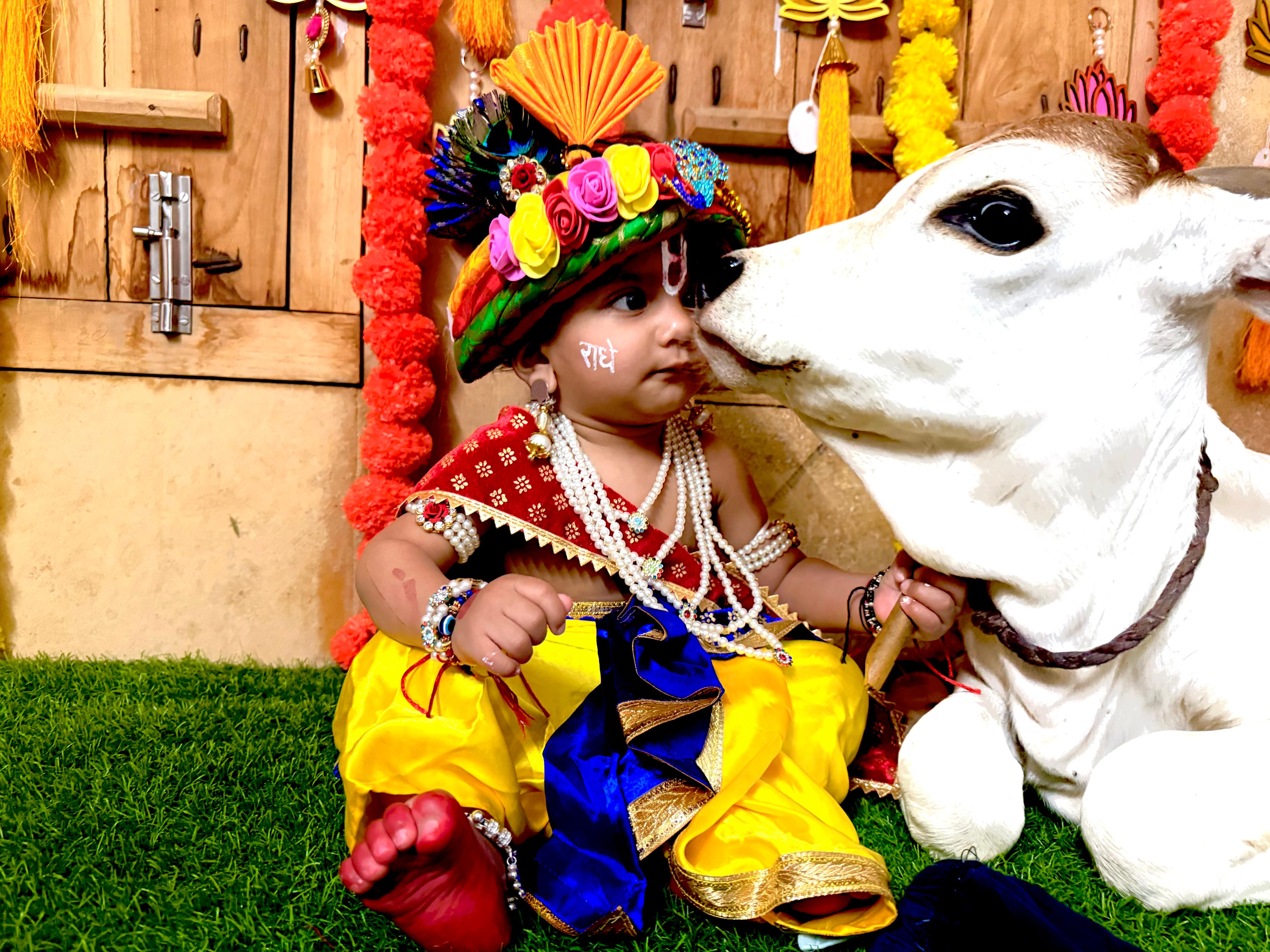 गाय के बछड़े के साथ नन्हे कृष्ण ने मनाया जन्मदिन।