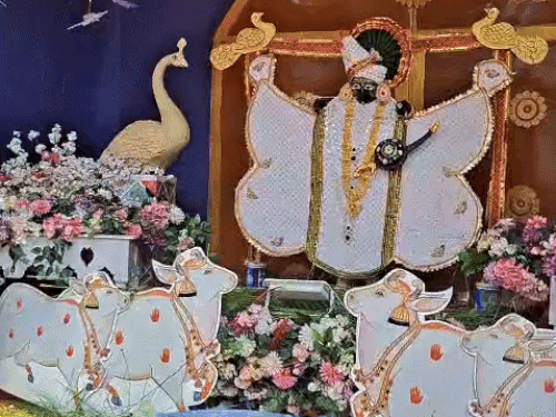 झांकियों के बीच में साउंड लगाए गए हैं।