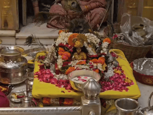 कान्हा ने देखी विश्वनाथ बाबा की आरती।