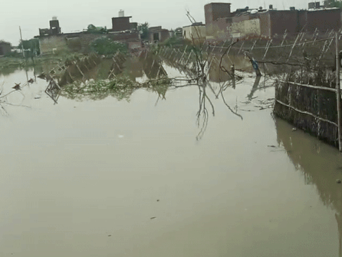 फरीदाबाद में रविवार को यमुना के किनारे बसे गांव और खेतों में फसलें डूब गई हैं।