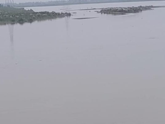 हजारों बीघा फसल डूबी, प्रशासन अलर्ट; हथिनीकुंड से छोड़ा जा रहा पानी|बागपत,Baghpat - Dainik Bhaskar