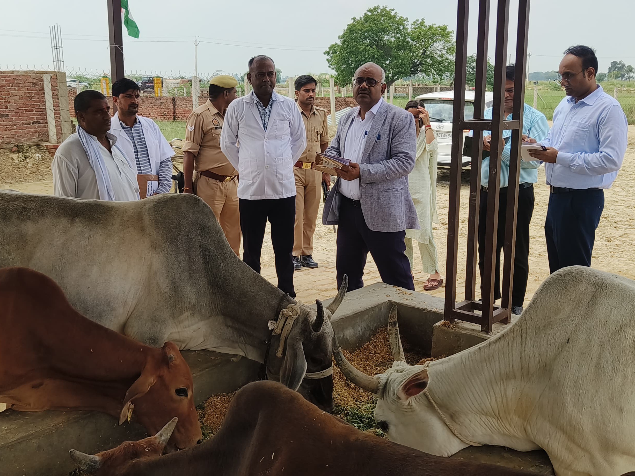 डीएम ने किया औचक निरीक्षण, क्षमता बढ़ाने और जलभराव दूर करने के दिए निर्देश|कानपुर,Kanpur - Dainik Bhaskar