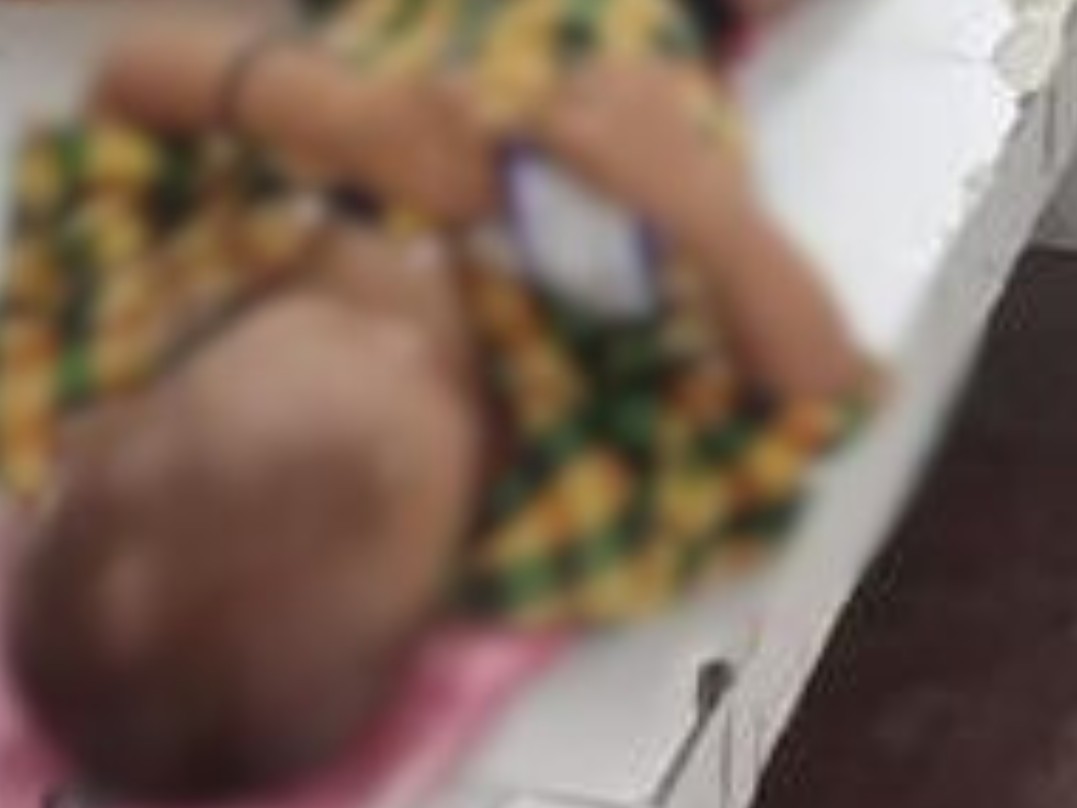 खलेते समय सांप ने डसा, अस्पताल ले जाते समय रास्ते में तोड़ा दम|फतेहपुर,Fatehpur - Dainik Bhaskar