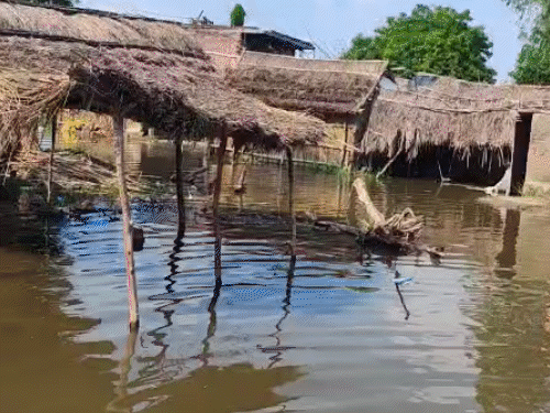 नदी किनारे 10 गांवों में बाढ़; चैनपुरवा में लोग घरों में कैद|कानपुर,Kanpur - Dainik Bhaskar