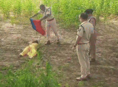 On receiving information about the corpse lying in the field, the police reached the spot and took the body.