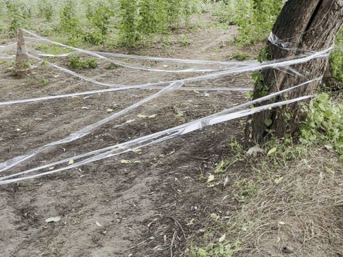 His body was found here in the field, about 500 meters from Manisha's college. The police have sealed this place.