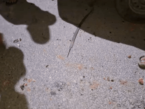 सड़क पर बदमाशों की पड़ी तलवार।