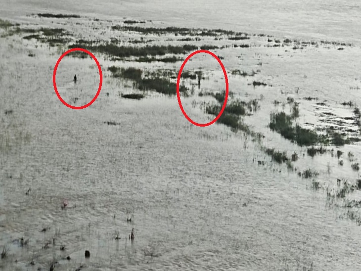 महिला की तलाश करते हुए गोताखोर (लाल घेरे में)।