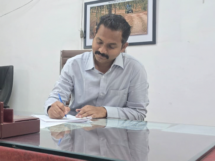 मंगलवार को पेंडिंग काम निपटाते तहसीलदार कुणाल राउत।