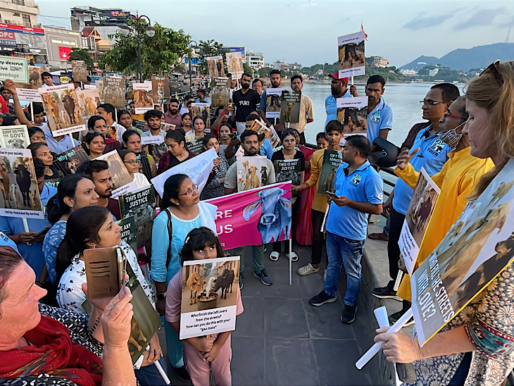 मंगलवार को अजमेर में भी डॉग्स लवर्स की ओर से शांति मार्च निकालकर विरोध किया गया।