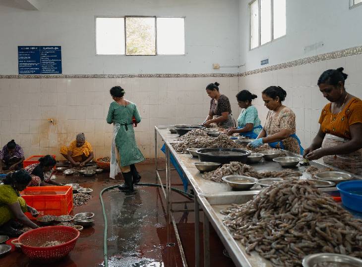 केरल एक सेंटर में झींगा साफ करते मजदूर।