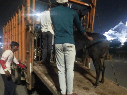 शहर के अलग - अलग इलाकों में निगम की टीम ने कार्रवाई की।
