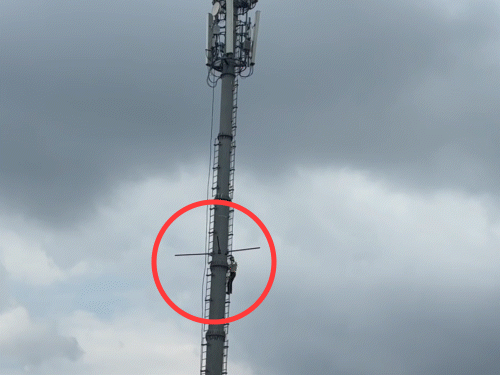 तहसीलदार जुगिता मीणा की समझाइश पर नीचे उतरा मेघश्याम।