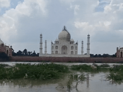 ताजमहल की बाउंड्री तक यमुना का पानी पहुंच चुका है। इस वक्त यमुना 495.3 फीट पर बह रही हैं, 495 फीट पर चेतावनी पॉइंट है।