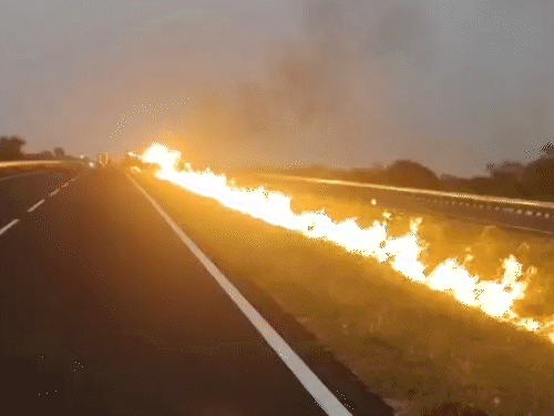 आग सुबह 4 बजे लगी और करीब चार घंटे में काबू पाया गया।