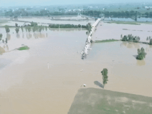 फाजिल्का एरिया में लोगों के खेतों में पानी भरा हुआ है