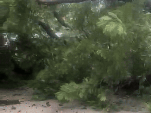 सडक पर खड़ा ऑटो आया चपेट में।