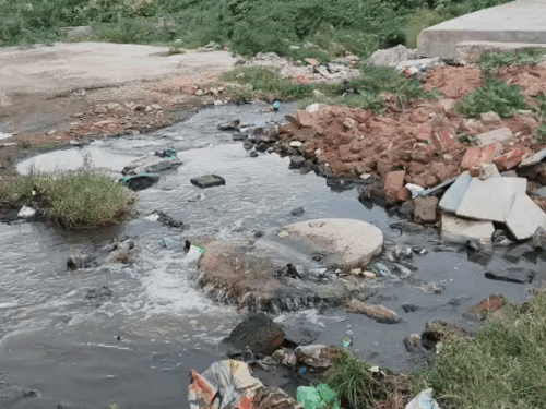सीवरेज का पानी तालाब में मिलता हुआ। फाइल फोटो।