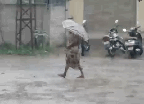 बारिश के बीच छाता लेकर गुजरती महिला।