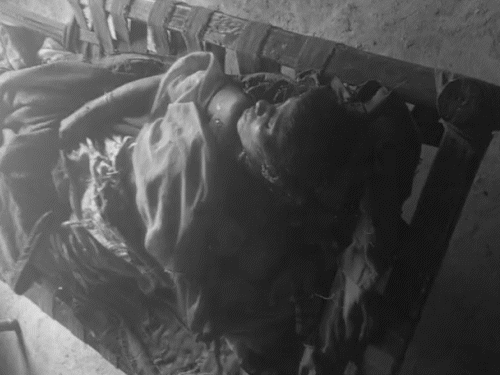 आरोपी ने पत्नी की गर्दन को कुल्हाड़ी से काट डाला, जिससे उसकी मौके पर ही मौत हो गई।