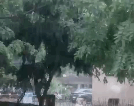 बारिश होने से गर्मी ओर उमस से राहत मिली।