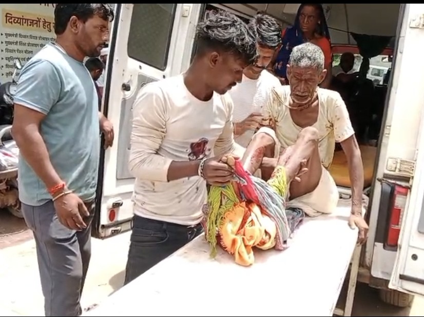 रामू कोल को कटनी जिला अस्पताल में भर्ती कराया गया है।