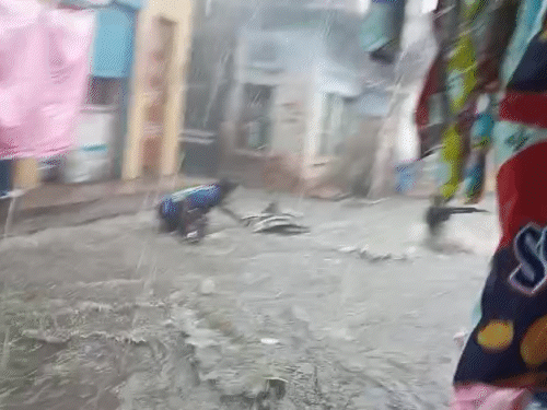 पाली जिले में अचानक मौसम बदलने के बाद लोगों को गर्मी से राहत मिली। कुछ ही देर की बारिश में गाड़ियां बहने लगी।