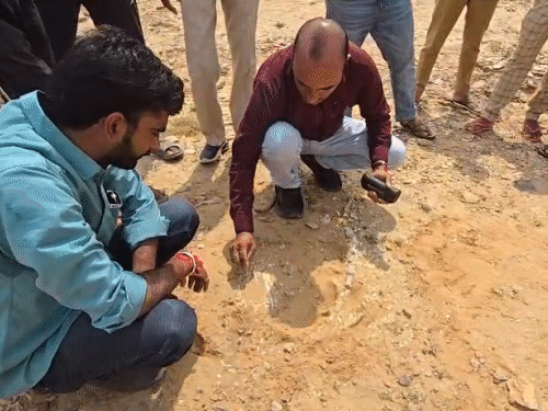 भूजल वैज्ञानिक डॉ. नारायण दास इणखिया का मानना है कि ये जीवाश्म व कंकाल डायनासोर या उसके किसी समकक्ष जीव के हो सकते हैं।