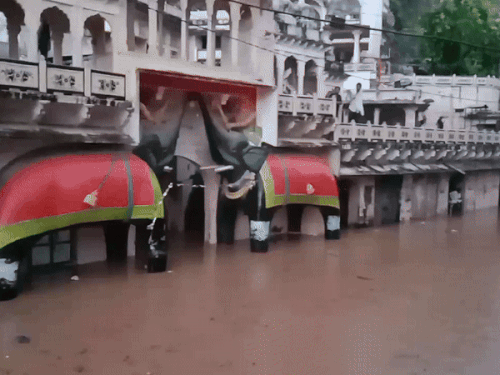 सवाई माधोपुर के काला गोरा‌ भैरव मंदिर की सड़क पर करीब साढ़े फीट पानी नजर आया। - Dainik Bhaskar