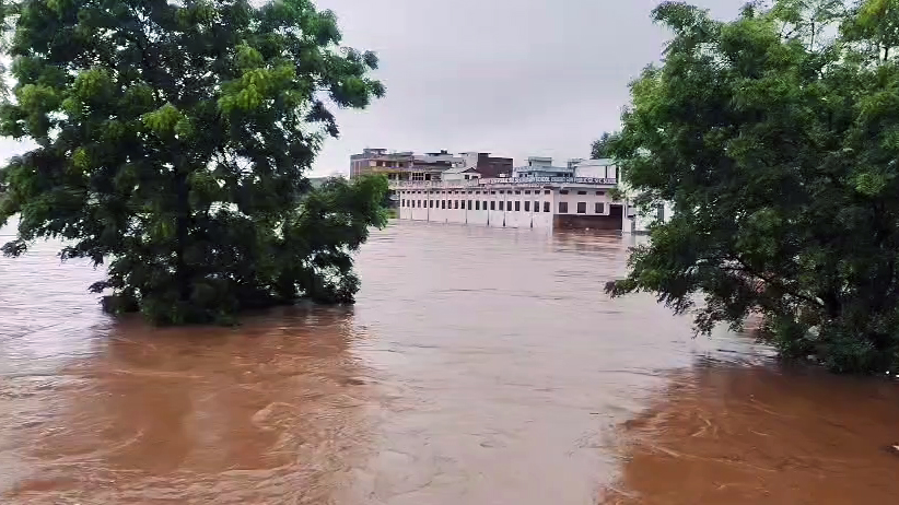 राजस्थान के कई इलाकों में शुक्रवार को तेज बारिश हुई। सवाई माधोपुर के कुछ इलाकों में घर बाढ़ के पानी में डूब गए हैं।