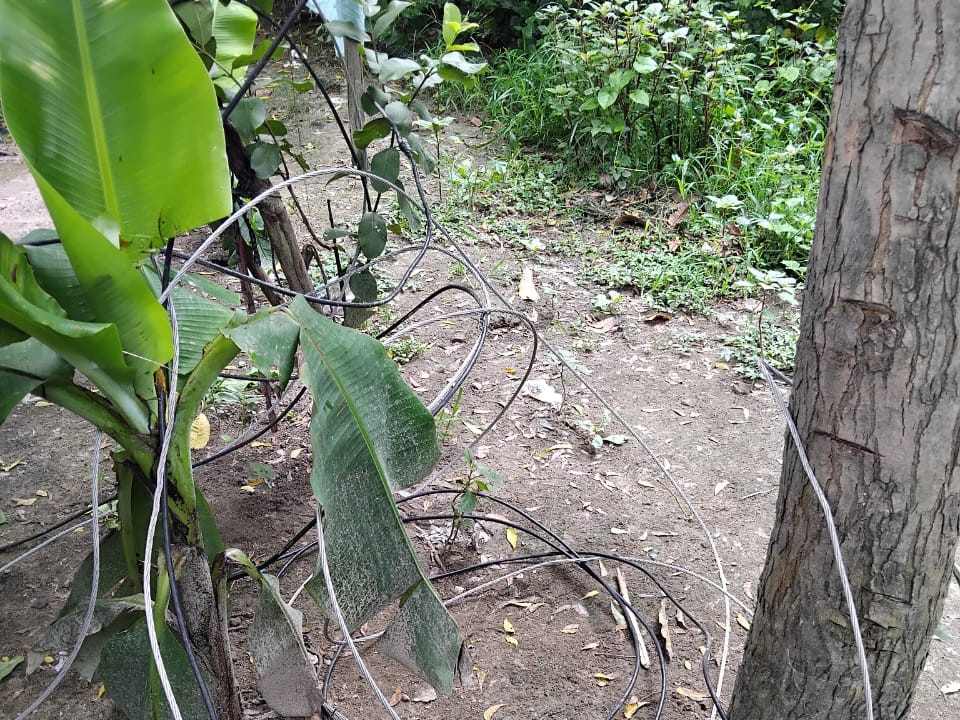 A farmer came in contact with a dilapidated electric wire and died