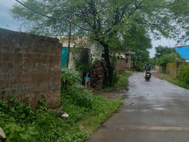 दाऊद बासौदा गांव की आबादी करीब 1500 हैं। यहां ज्यादातर मुस्लिम समुदाय के लोग रहते हैं।