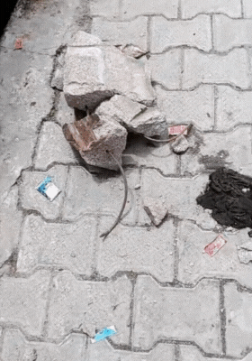 विस्फोट के बाद काफी दूर तक पत्थर बिखर गए।