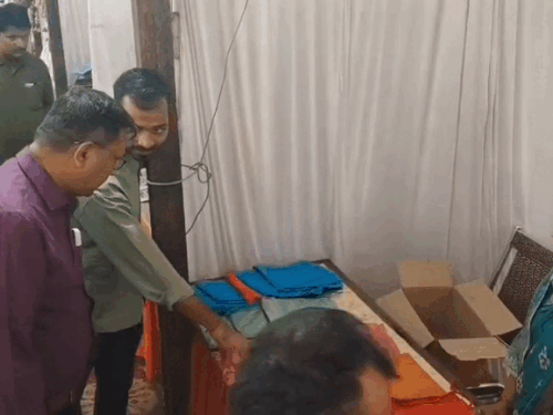 मेले में लगी स्टाल का निरीक्षण करते हुए कलेक्टर