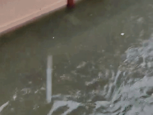 भीमगंज मंडी क्षेत्र में डडवाड़ा