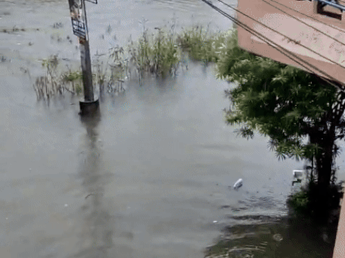 बजरंग नगर, त्रिवेणी आवास,