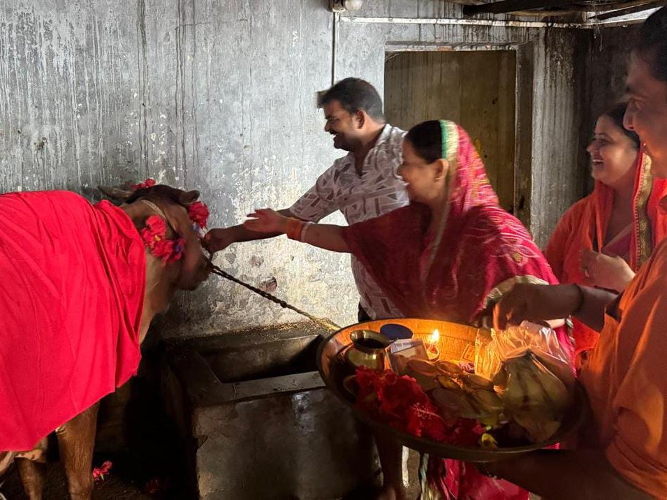 धनंजय सिंह का कहना है कि, जब से लोग सुने है, तो कामधेनू के नाम से पूजा पाठ कर रहे हैं।