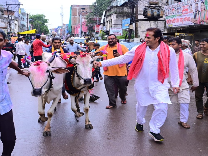 छत्तीसगढ़ पारंपरिक पोरा तिहार उत्सव समिति की ओर से बैल दौड़ का आयोजन