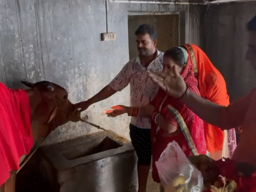 आरती उतारकर पूजा पाठ कर रहे हैं। इस वजह से यह स्थान अब आस्था का केंद्र बन गया है।