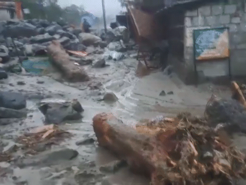 मलबे में पत्थर के साथ टूटे पेड़ भी बहकर घरों और रास्तों पर इकठ्ठा हो गए।