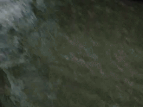 टोंक के देवली उपखंड के राजमहल कस्बे में भी शुक्रवार रात से शनिवार सुबह तक तेज बारिश हुई। इससे मुख्य बाजार में आधा से एक फीट तक पानी बहा।