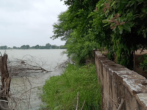 महुवा क्षेत्र के हुडला गांव स्थित बांध में पानी की आवक लगातार जारी है। इससे बांध में फिलहाल 1 फीट 6 इंच पानी है।