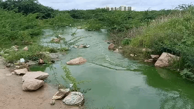 सुंदेलाव तालाब से ओवरफ्लो होकर निकलता पानी।