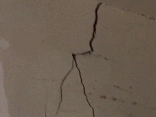 इलाके में कई मकानों में दरारें पड़ गई हैं।