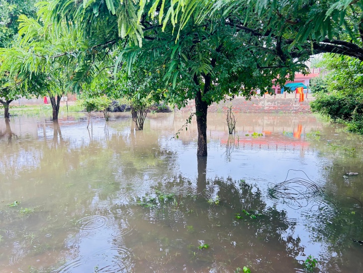 किसानों को बारिश से राहत मिली है, क्योंकि खेतों को पर्याप्त पानी मिला है।